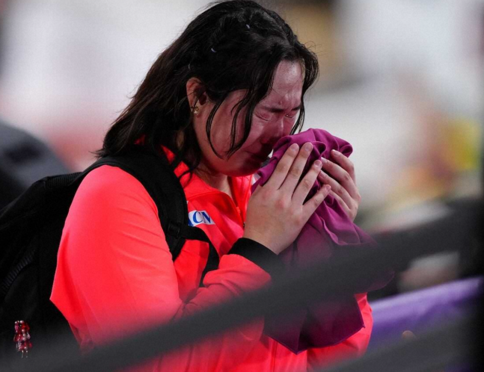 AA, 榛花 AA, 榛花